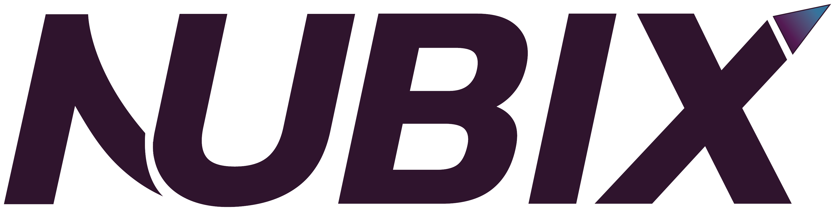 NUBIX logo